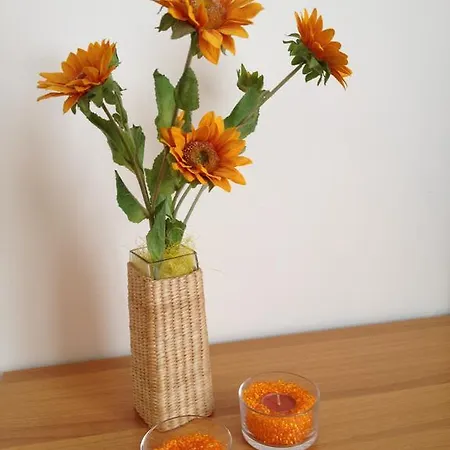 Orange Paradise Custonaci