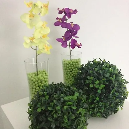 Orange Paradise Alojamento de Acomodação e Pequeno-almoço 4*